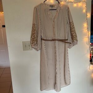 Striped Button-Down Dress with Belt